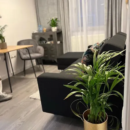 Musai Apartament *